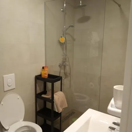 Apartment Padelica *