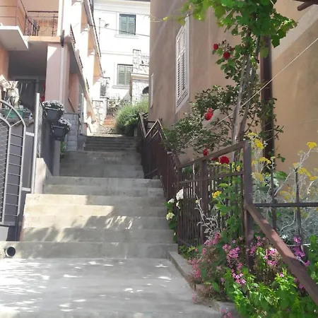 Padelica Moscenicka Draga